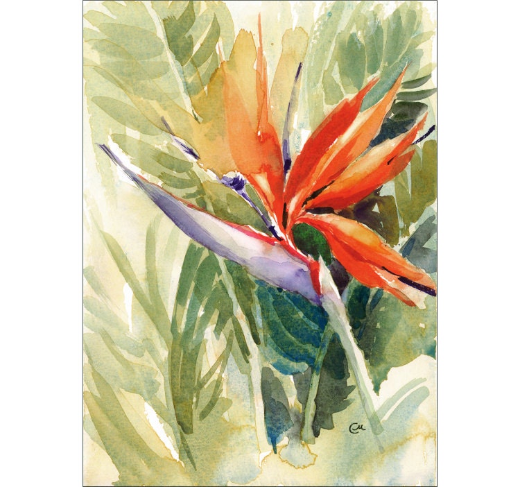 Bird of Paradise Original Watercolor Painting 8 x 11 inches