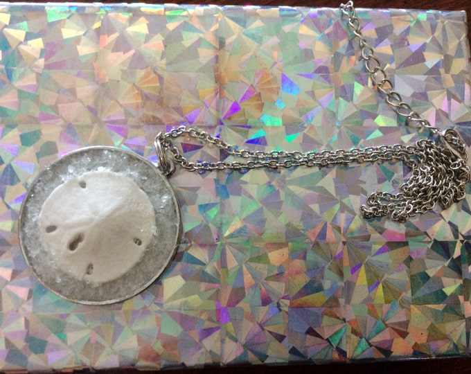 Real Sandollar embedded in silver pendant with silver chain