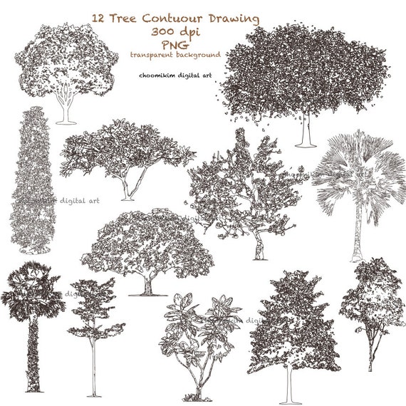 12 stylised tree contour line drawing clipart clip art