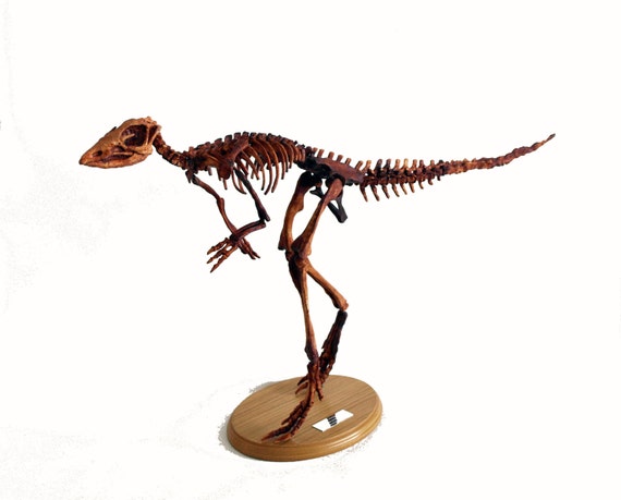 life size dinosaur skeleton replicas for sale