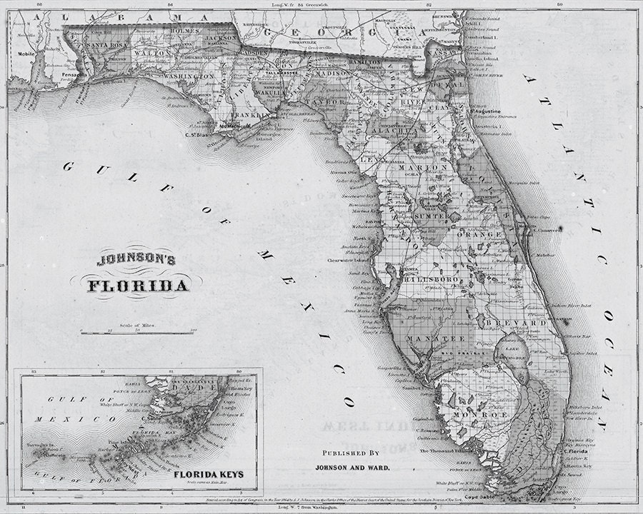 19th Century Map of Florida Florida Map Print by WayneOxfordPrints