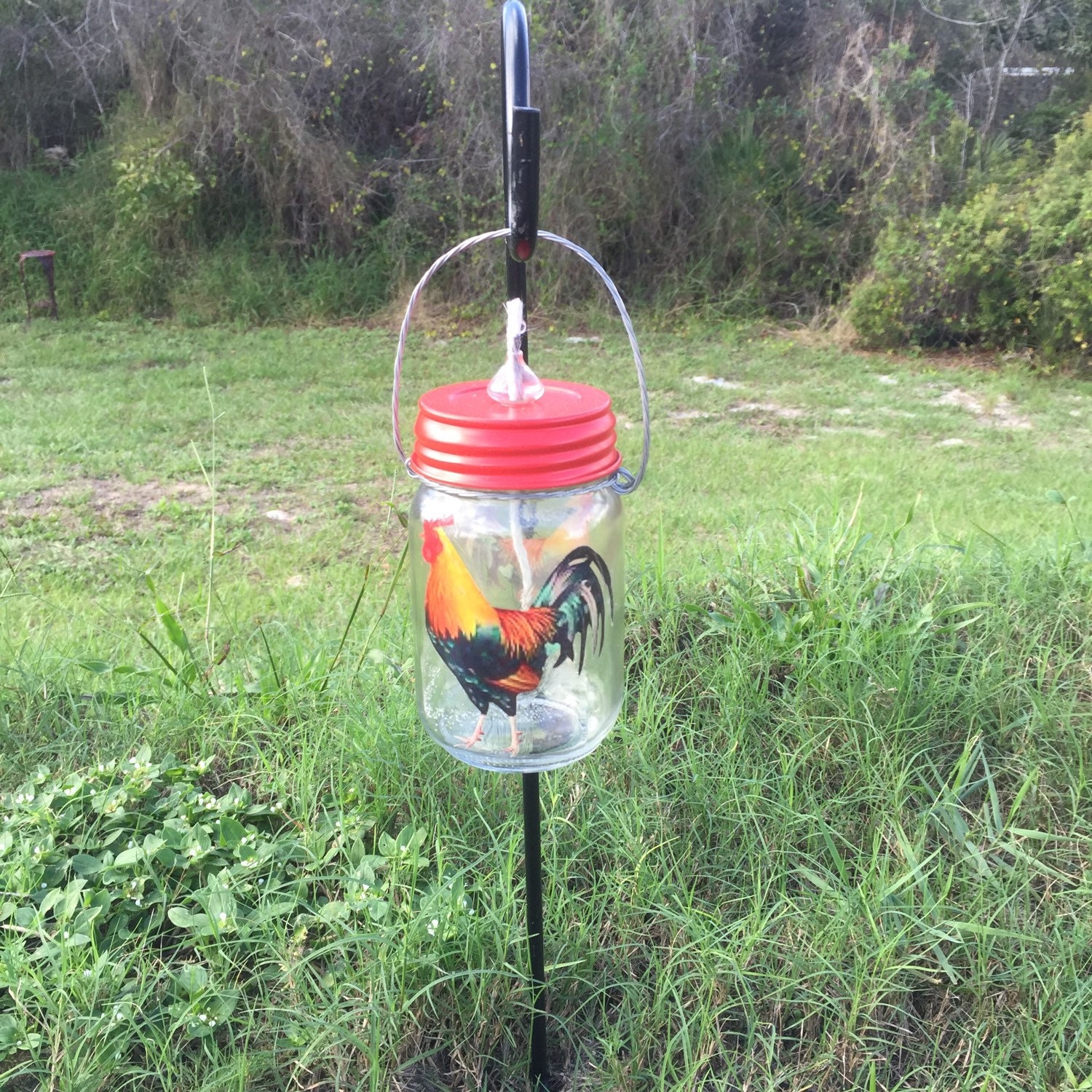 Hanging Oil Lamp Indoor Outdoor Oil Lamp by