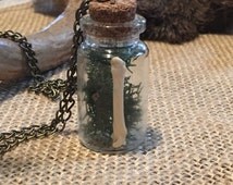 Popular items for reindeer moss on Etsy