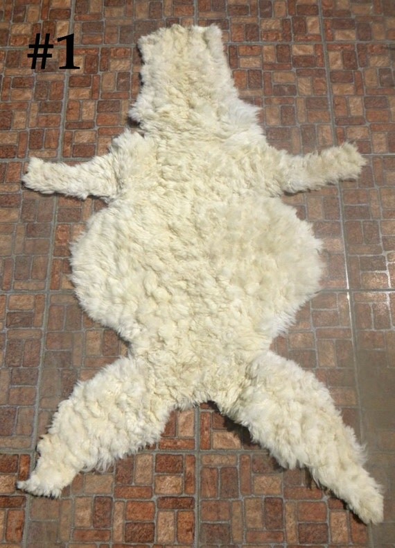 Alpaca Cast Alpaca Fur Alpaca Skin Alpaca Hide by