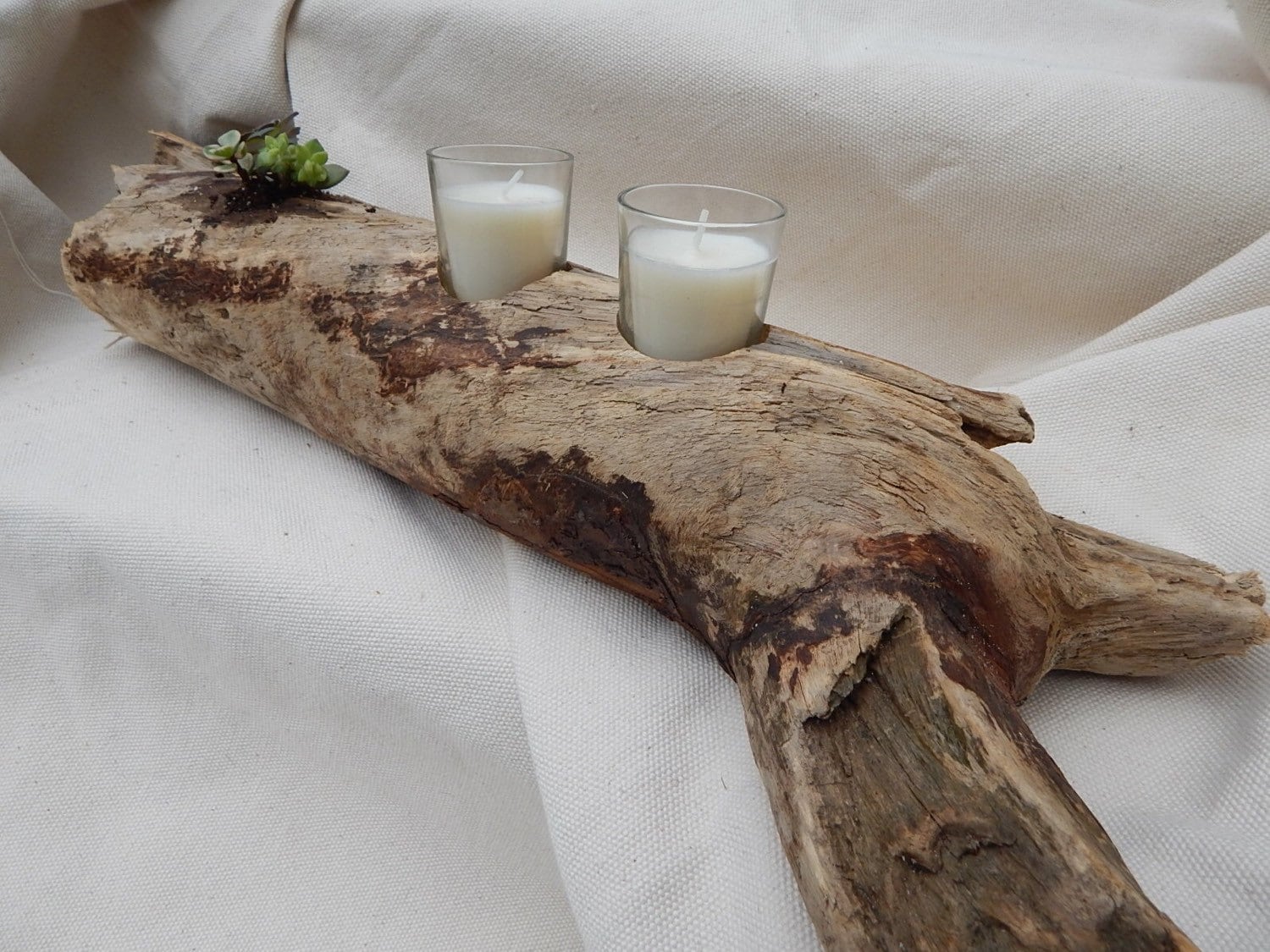 Large Driftwood for Centerpiece Tabletop Succulents & Candles