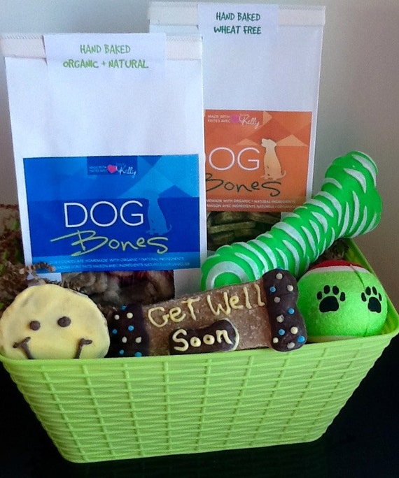 Dog Treats Dog Get Well Gift Basket by DOGBonesBoutique on Etsy