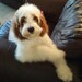 wendy clugston