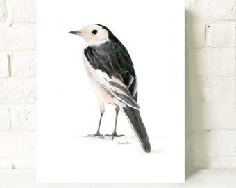 Watercolor Art Print, Bird Painting, Original Watercolor Painting Print, Bird Art, Animal Painting