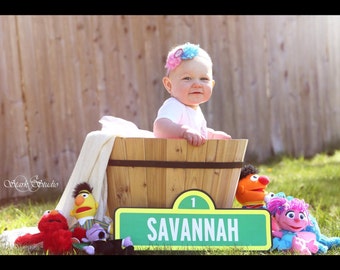 2 ft long Sesame Street Sign Customized