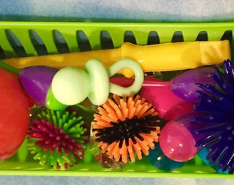 Bluebonnet Hedgehog Toy Basket