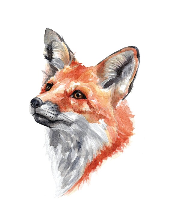 Fox Watercolor Print / Watercolor Fox Art Print / Fox Face