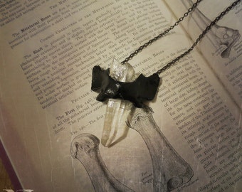 Bone + Crystal Necklace, Oddities, Bone Jewelry, Bone Necklace, Quartz Necklace, Taxidermy Jewelry, Vulture Culture, Oddities Necklace