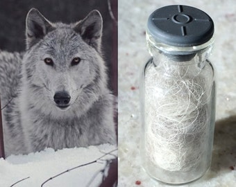 Real Wolf Fur in Bottle ~ Totem