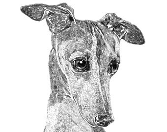 Greyhound drawing | Etsy