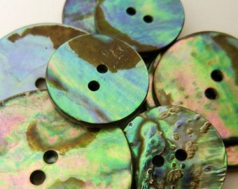 Abalone Button New Zealand Paua Shell 2 Hole 17.5mm Blue Pink Green Natural