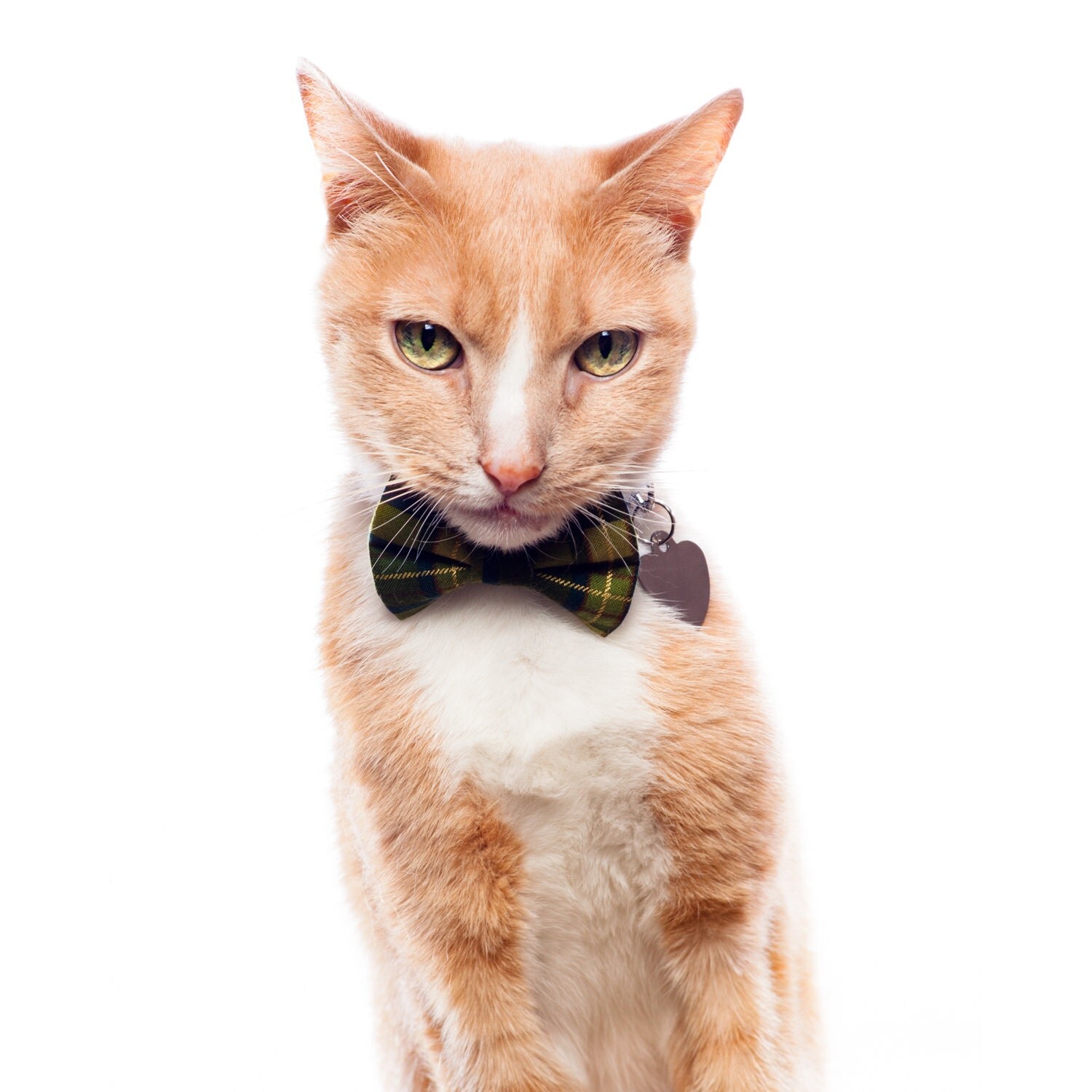 Cat Bow Tie The Trendsetter Green Plaid