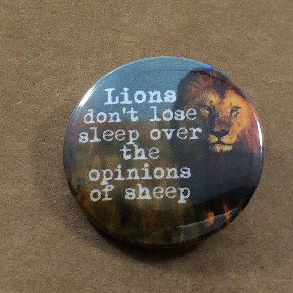 lions dont lose sleep over the opinion of sheep