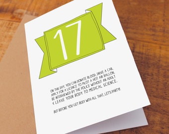 17th Birthday Card / Funny Birthday Card / Funny 17 Card / On This Day You Can / snarky card