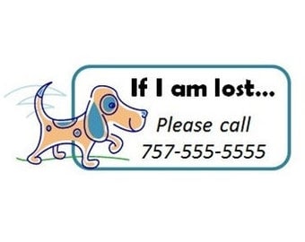 Set of 8+ Custom Temporary Tattoos - Emergency Contact Info / If Lost