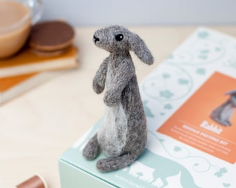 Rabbit Needle Felting Kit - Rabbit Craft Kit - craft kit gift - felt rabbit project - rabbit craft kit for adults - needle felting kit