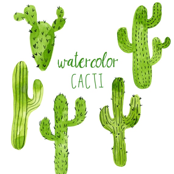 free clipart cactus flower - photo #45