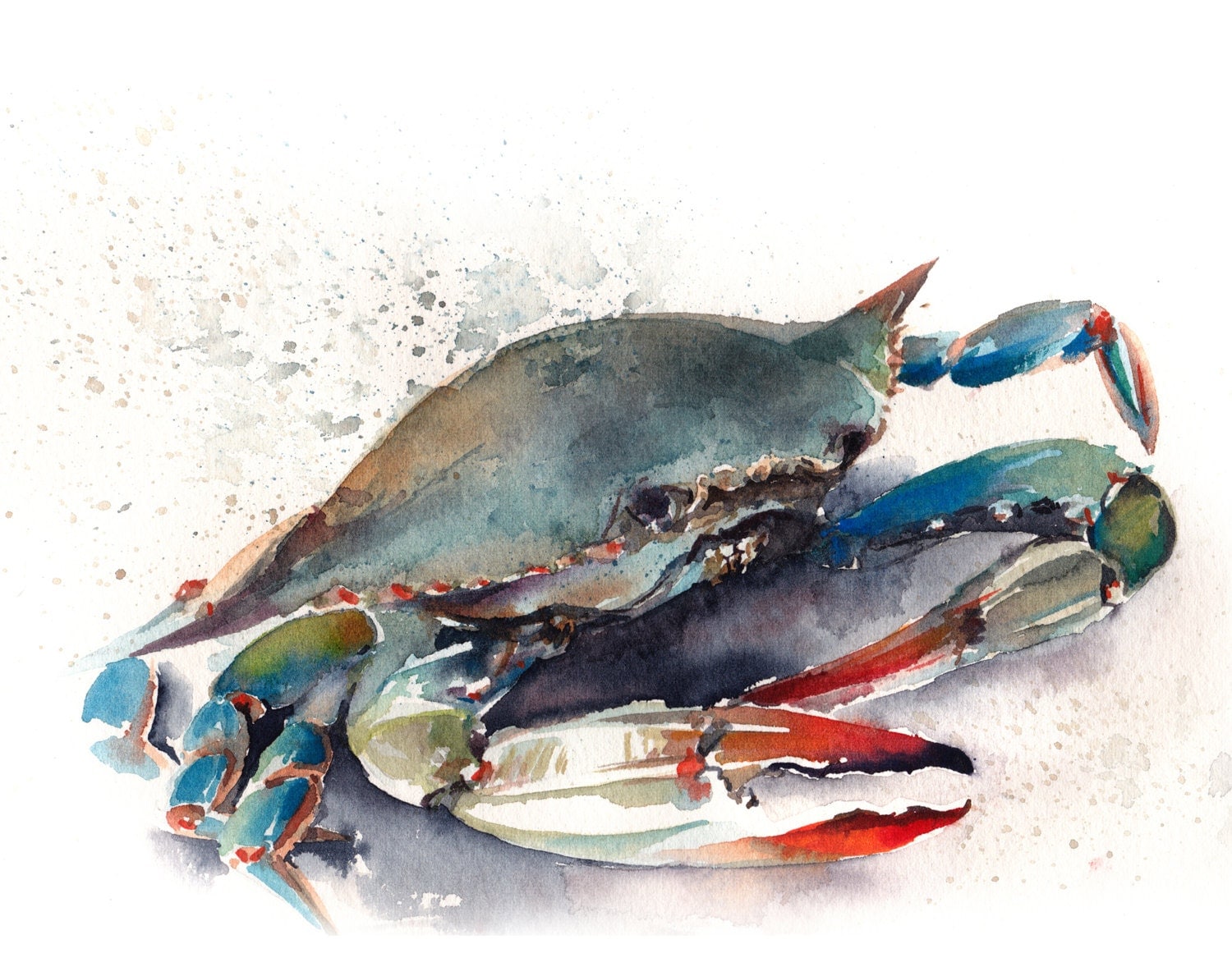 Crab Watercolor Print Watercolor Painting Art by CanotStopPrints