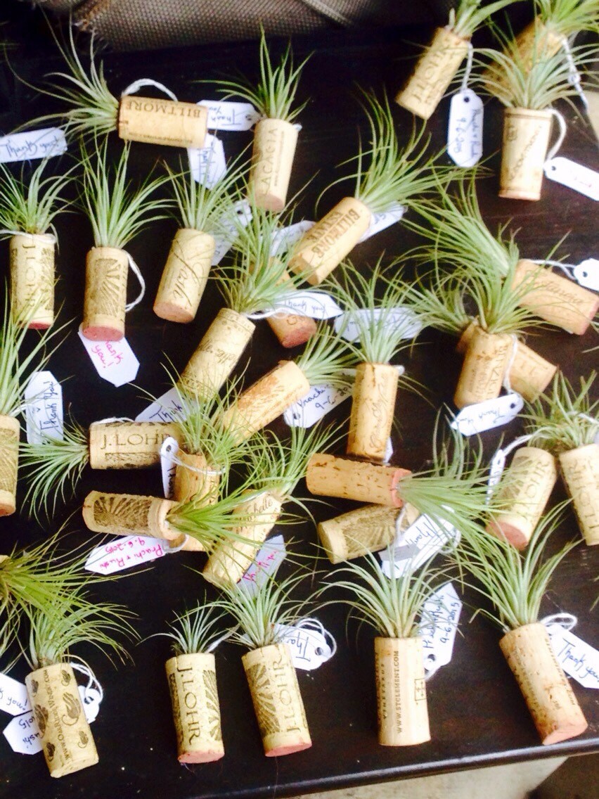 10 Wine Cork Air Plant Wedding Favors by CallaLilysBridal