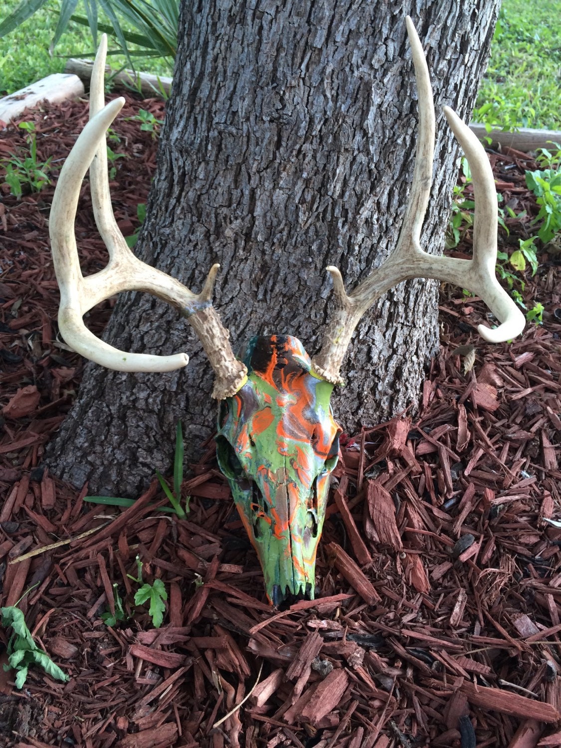 Hydro Dipped Whitetail Buck Deer Skull 8pts European Mount   Il Fullxfull.861175051 K2cq 