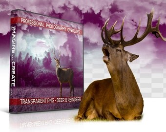 40 REINDEER Overlays And Deer Overlays Transparent PNG Photoshop Animal Overlay, Digital Background, Digital Backdrop, Photoshop Overlay