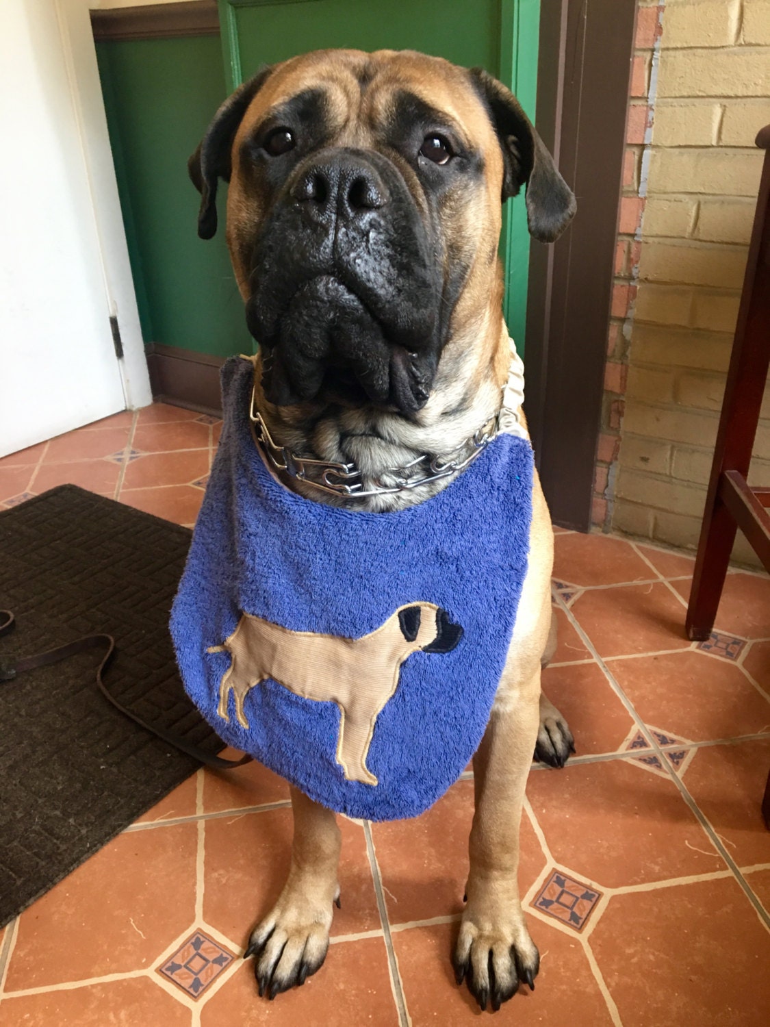 Mastiff Dog Drool Bib CUSTOM MADE Absorbs by UsByTheSeaside