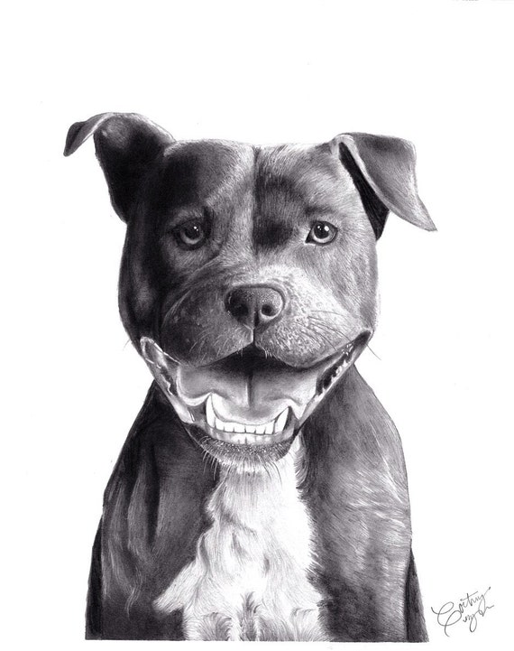 Pit Bull Print