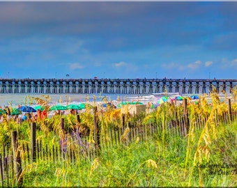 Myrtle Beach, Oceanview, Seaoats, Bright Colors, Fence, Sand Dunes, Blue Skies