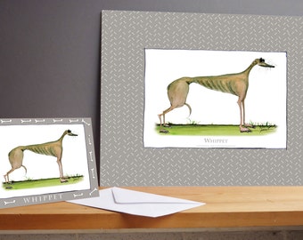 Fun Whippet Gift Print and greeting card