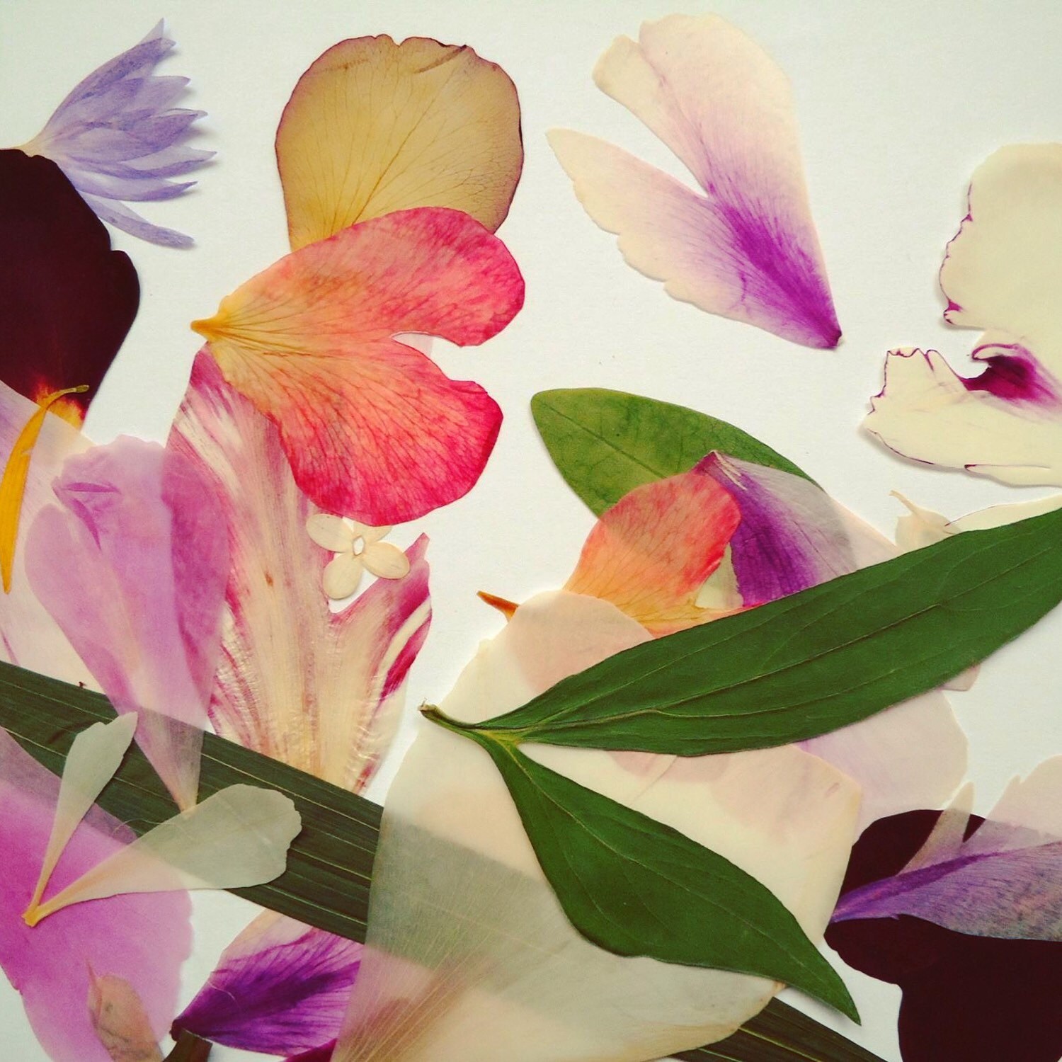 Items for order by terezavarga on Etsy