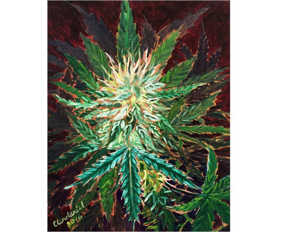 Cannabis Bud Art Marijuana Bud Poster Weed by ElevatedExpectation