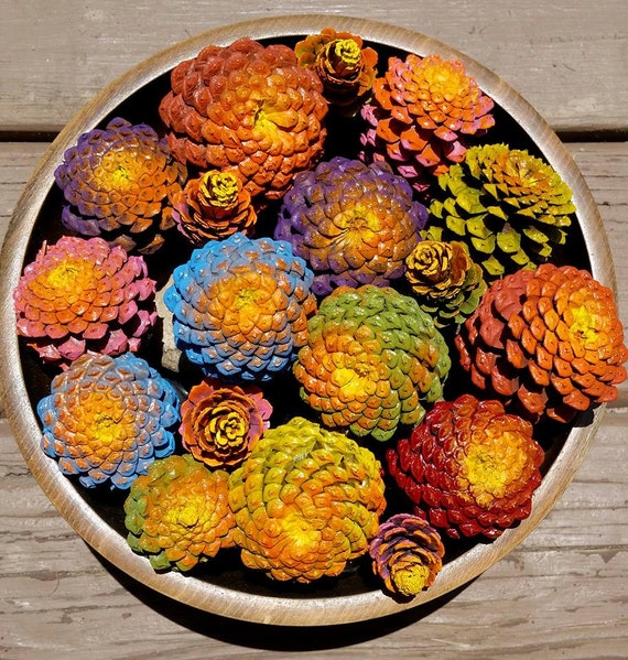 Multicolor Painted Pine cones Zinnia Flowers Painted Pinecone