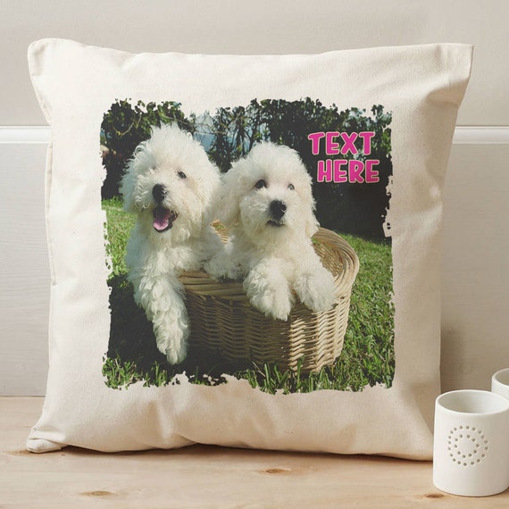 bichon cushion