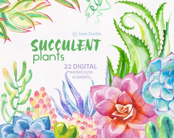 Watercolor Succulent plants clip art. Hand painted, cactus flower, desert, diy, greetings, plants printable, wedding bouquet, invitations