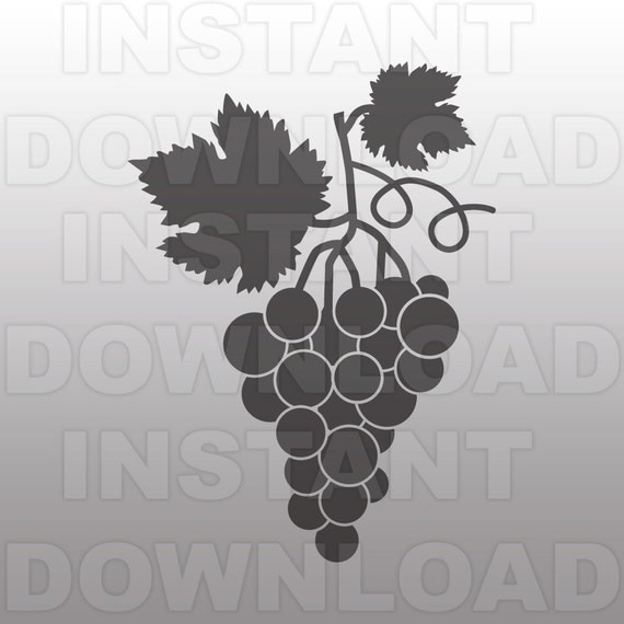 Grapes SVG FileWine SVG FileFruit svgCutting