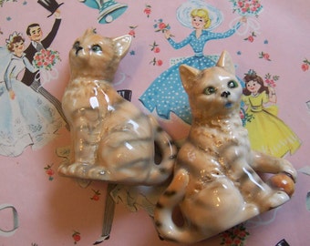 orange tabby kitty shakers