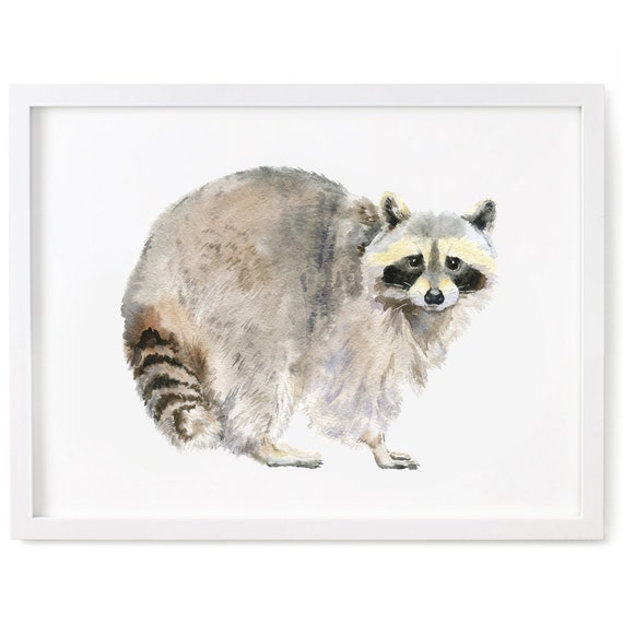 Raccoon Print of Watercolor Painting Animal Giclee Print