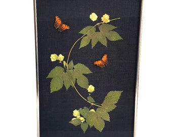 Real Hops and Eastern Comma Butterfly Taxidermy Art - Butterfly Art - Botanical Art - Real Preserved Specimens