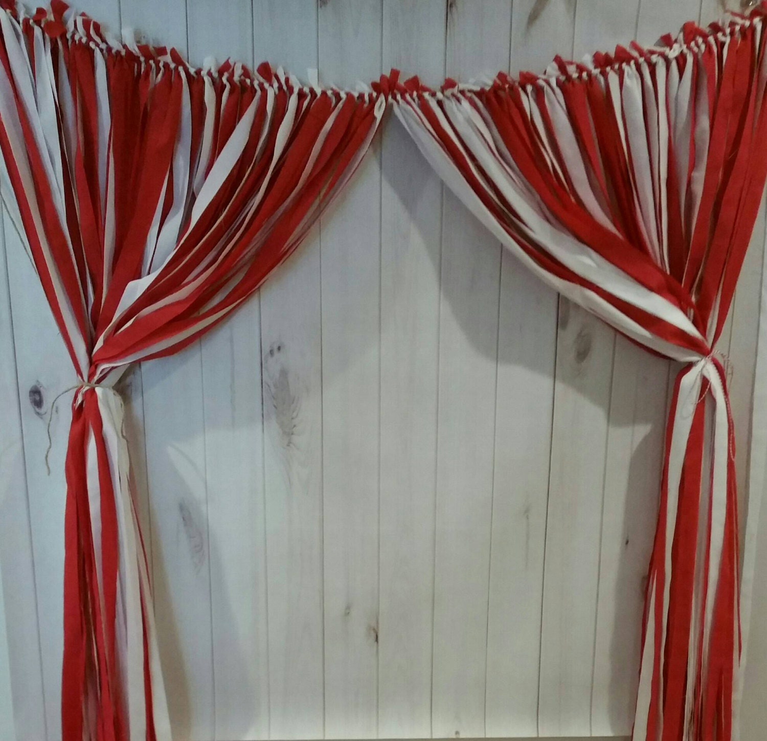 Circus Backdrop Carnival BackdropCircus Fabric Streamer