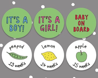 35 x How big is your baby Pregnancy Stickers - Photo Prop stickers - Belly Stickers - Calendar and Diary stickers - pregnancy announcement