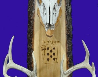 Deer Hunting ~ European Mount Plaque ~ Deer Skull Mount ~ Gift For Hunter ~ Antler Mount ~ Antler Plaque ~ Deer Hunting Gift ~ European Deer