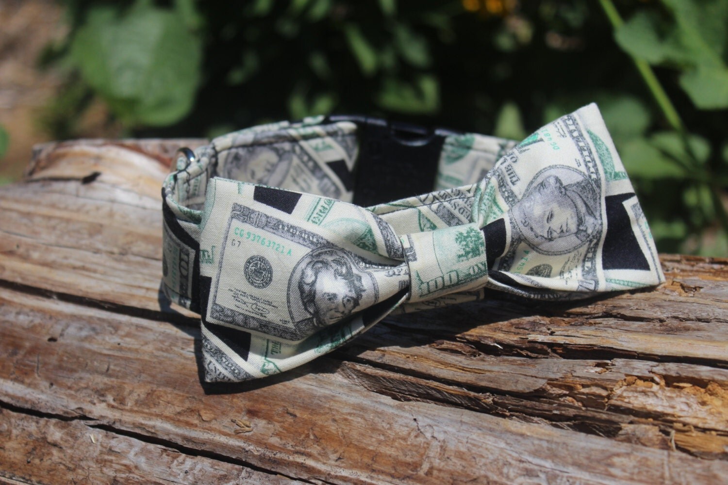 Dollar bill dog collar. money dog collar cash martingale