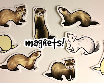 Cute Ferret Decorative Magnets Pack of 8 - Custom Made to Order