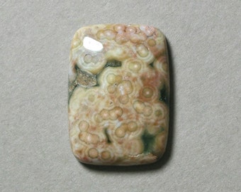 OCEAN JASPER cabochon rectangle 18X25mm designer cab
