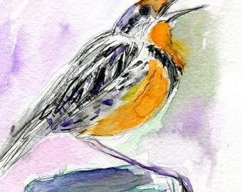 Eastern meadowlark | Etsy