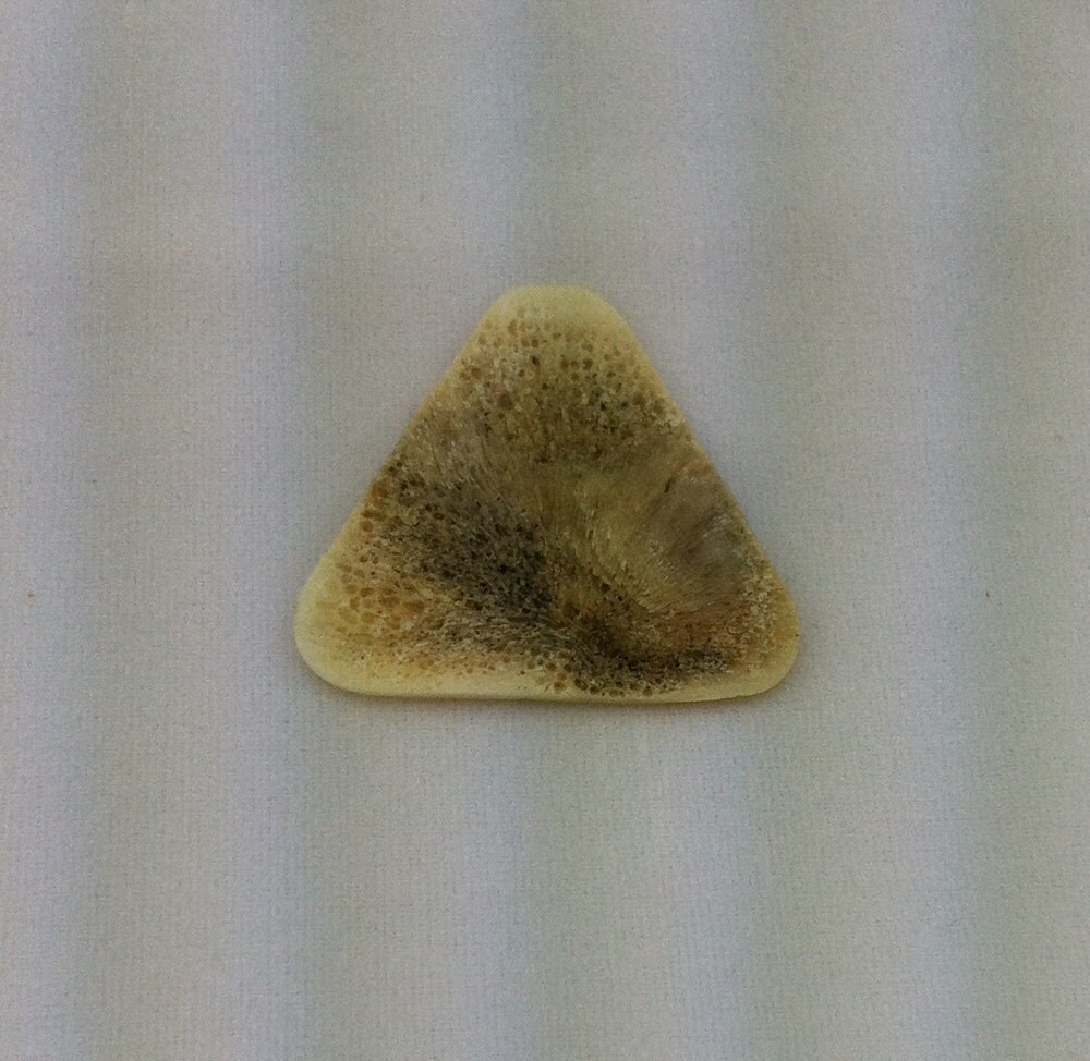 Turtle Shell Guitar Pick Tortoise Shell Guitar Pick